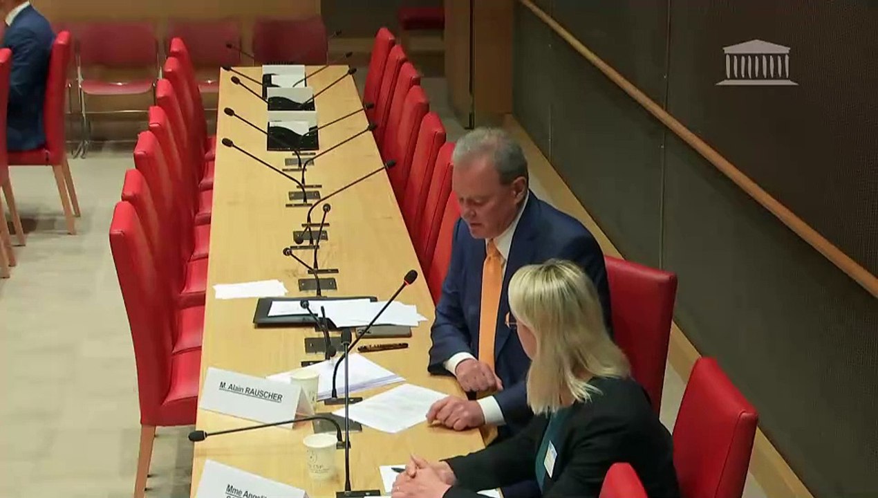 Modèle économique des crèches et qualité de l’accueil des jeunes enfants : Audition de représentants d’Antin Infrastructures Partners - Jeudi 4 avril 2024