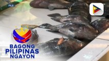 Panayam kay D.A. Asec. Arnel de Mesa patungkol sa presyo at supply ng isda