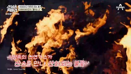 [선공개] "우리의 사랑 같네♥" 안느 부부 사랑처럼 365일 꺼지지 않는 불의 산