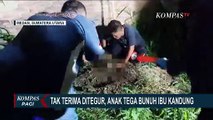 Tak Terima Ditegur, Anak di Medan Tega Bunuh Ibu Kandung