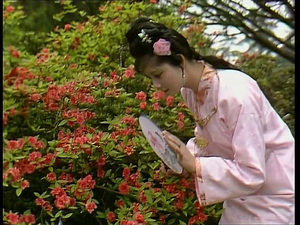 Hồng Lâu Mộng (1987) Tập 12 Thuyết Minh - Bên mộ hoa nhạn bay khóc hương tàn