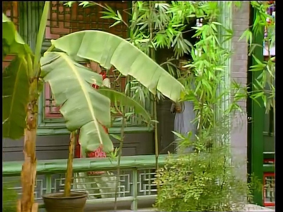 Hồng Lâu Mộng (1987) Tập 19 Thuyết Minh - Cõi lưu ly mai hồng tuyết trắng
