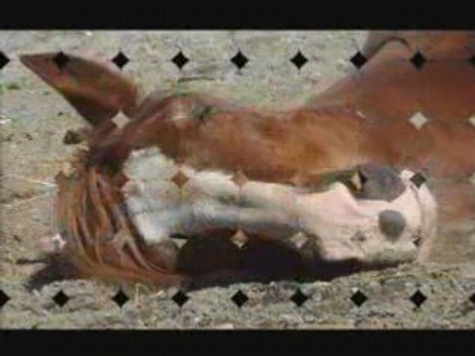 La Vie est Difficile