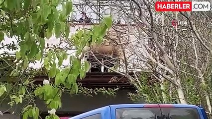 Mersin'de anne ve oğlu evde, baba ise aracında yanarak ölmüş halde bulundu