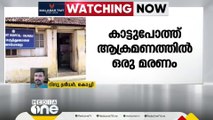 തൃശൂർ വാൽപ്പാറയിൽ കാട്ടുപോത്തിന്റെ ആക്രമണത്തിൽ ഒരാൾ മരിച്ചു