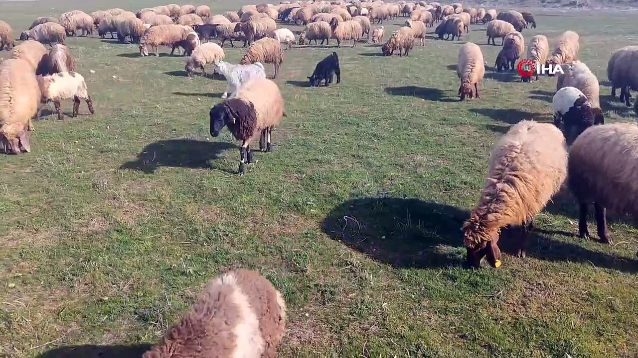 938