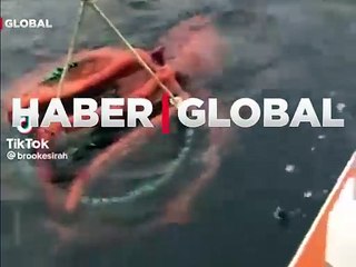 Ava giderken avlanan devasa ahtapotun hazin sonu!