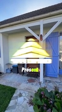 MAISON Mandres les roses