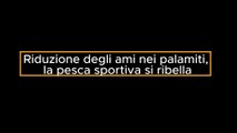 Riduzione degli ami nei palamiti, la pesca sportiva si ribella