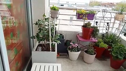 Ma Terrasse