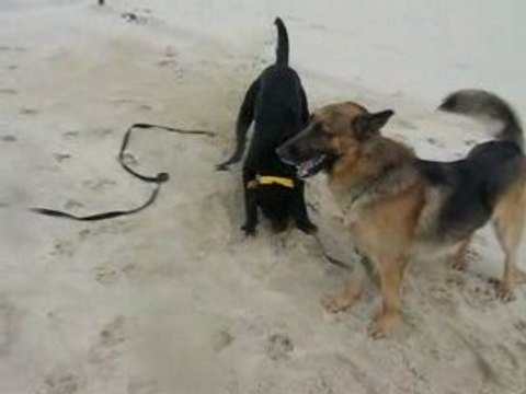 MVI_4216 Porto Appolon