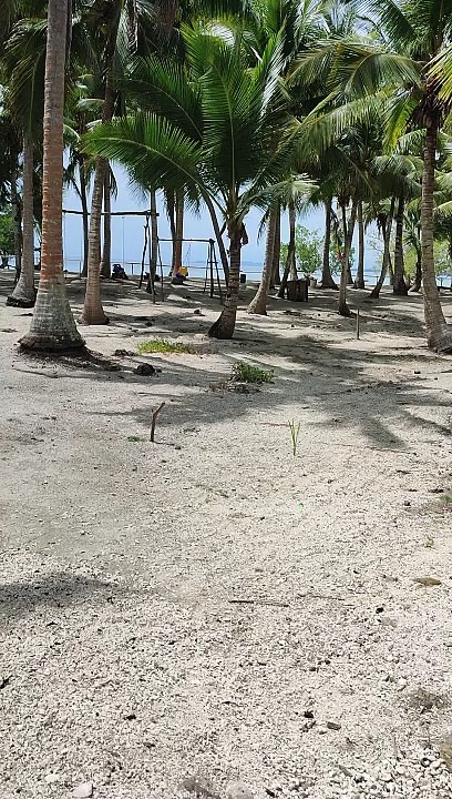 To the Beach