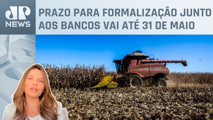 Kellen Severo: Saiba quem poderá renegociar dívidas no agronegócio