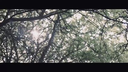Second Coming Bande-annonce (EN)