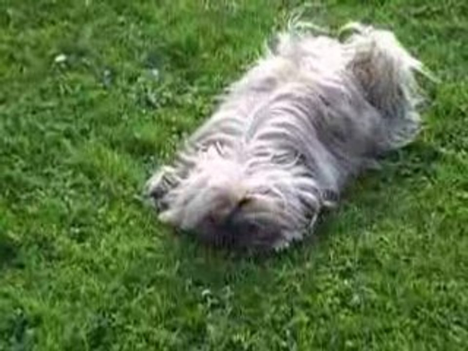 Léna dans le jardin