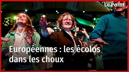 Européennes : les écolos dans les choux