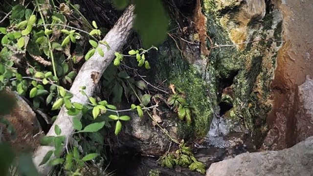 Des goûts de Lutte Teaser VF