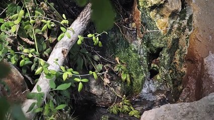 Des goûts de Lutte Teaser VF