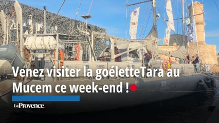 Venez visiter la goélette Tara au Mucem ce week-end !