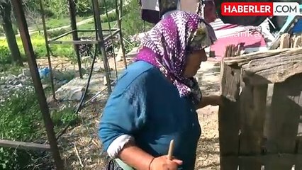 Depremzede Iraz Ziyan, keçilerinin bulunduğu ahırın bitişiğindeki kulübede yaşıyor