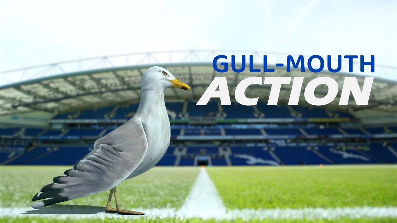 Gull-Mouth Action podcast: De Zerbi future