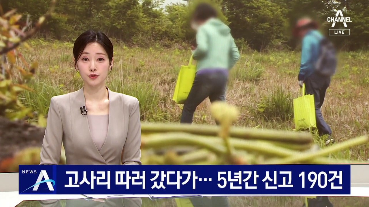 고사리 따러 갔다가 숨진 채 발견…5년간 신고 190건