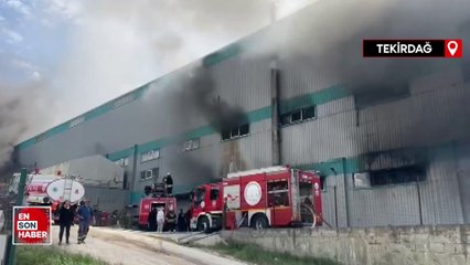Tekirdağ'da fabrikada yangın