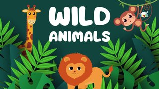 Learning Wild Animals | Educational Cartoon for Kid | Kids English Vocabulary | Bright Spark Station