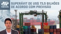 Estimativa para balança comercial em 2024 cai 25,7%; Alan Ghani analisa