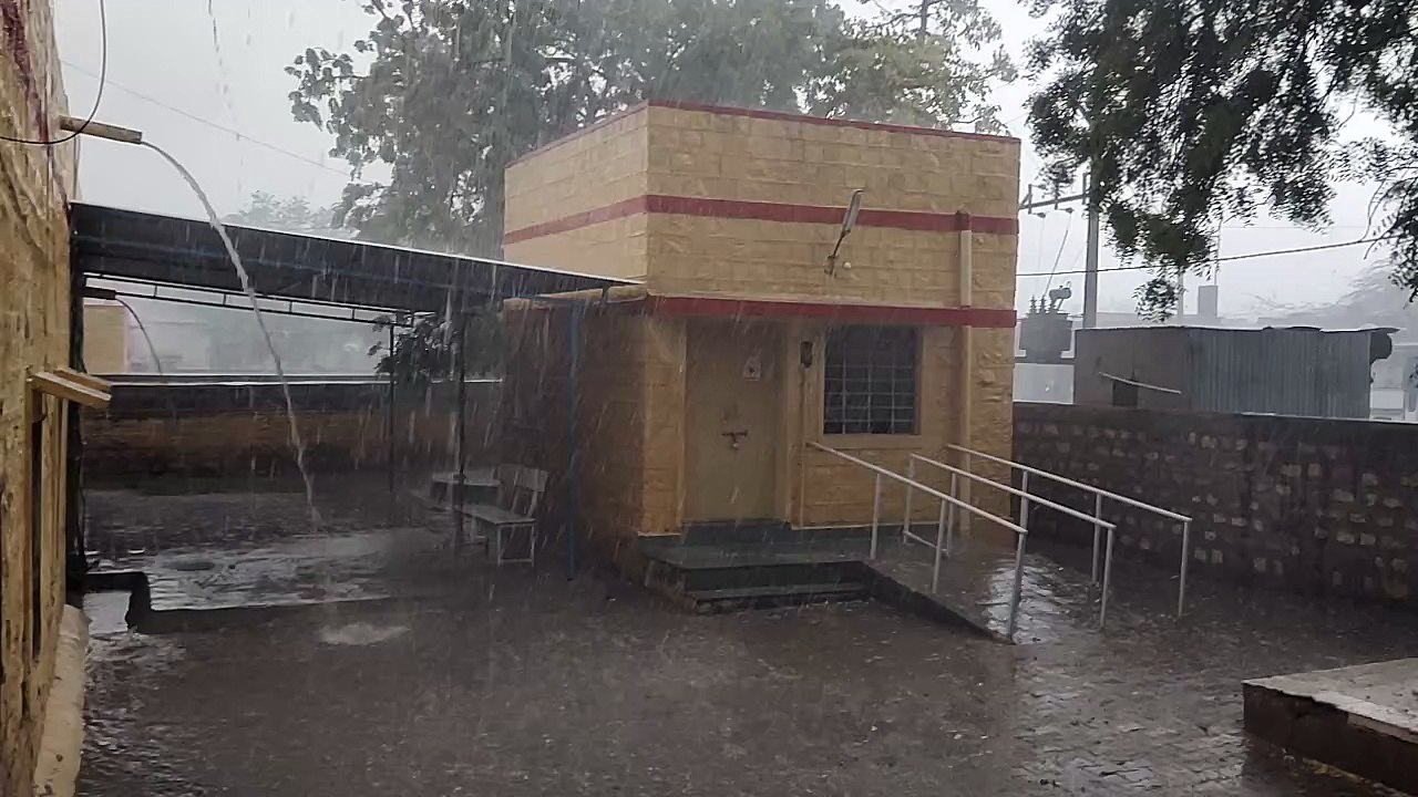 Watch Video: फलसूंड में 14 एमएम बारिश, गिरे चने के आकार के ओले
