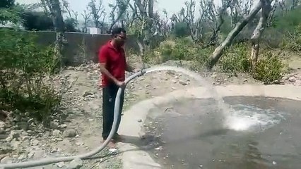 As soon as summer comes, wild animals look for water, tankers are quenching their thirst in Sariska...watch video