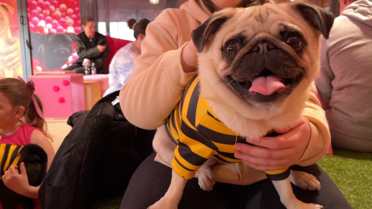 Cuppapug Manchester: We visit an exciting new p...