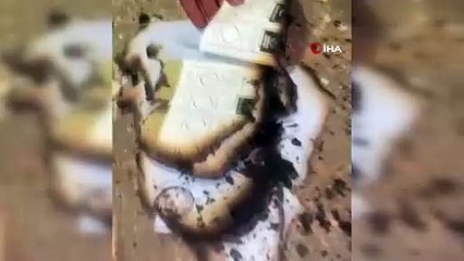 SON DAKİKA | Öcalan'ın memleketinde seçimler iptal edildi