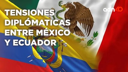Ecuador declara "persona non grata" a la embajadora de MéxicoI Todo Personal