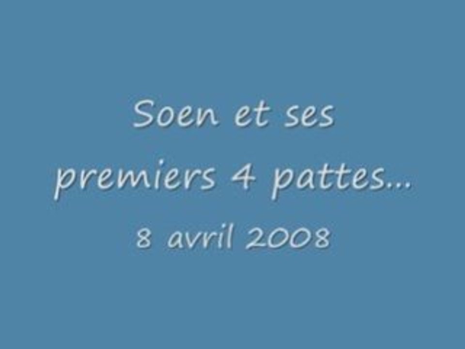 Soen à 4 pattes