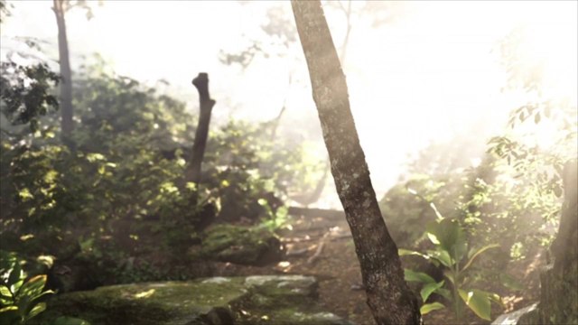 Global Deforestation Increased 3.2% in 2023 Despite Tropical Forest Loss Decreasing