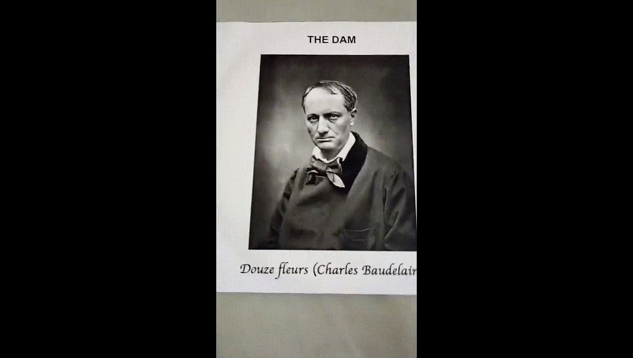 The Dam - 2/12 - Au lecteur