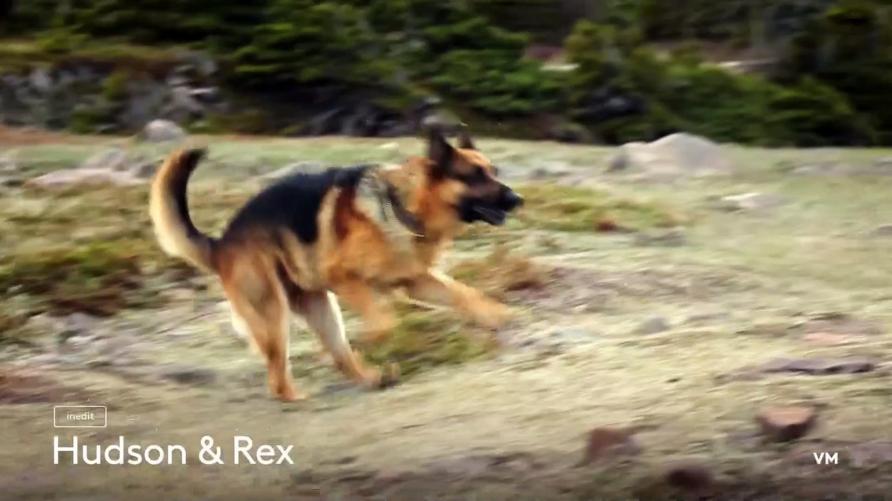 Hudson et Rex - 7 avril