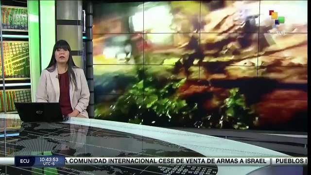 Pdta. Dina Boluarte acudirá a la fiscalía por caso Rolex