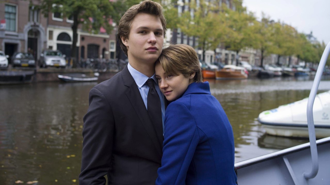 Nos étoiles contraires