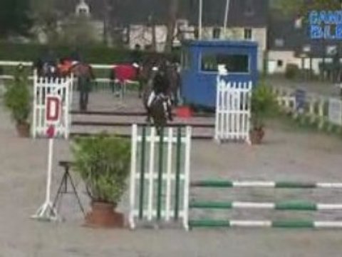 Rose marie dinard avril 2008