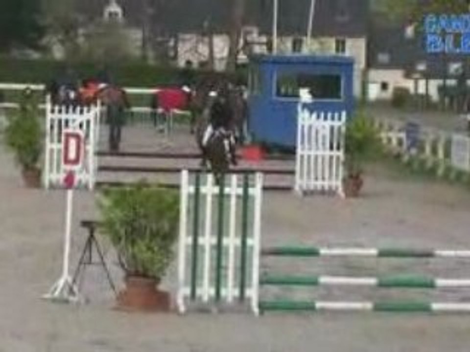 Rose marie dinard avril 2008