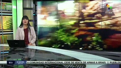 Conexión Global 05-04 Embajada de México es rodeada por policía ecuatoriana