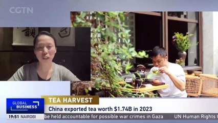 Discover the Deep Cultural Significance of Tea in China ☕
