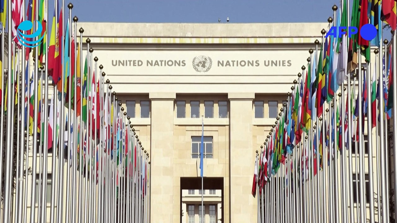 El Consejo de DDHH de la ONU pide detener la venta de armas a Israel