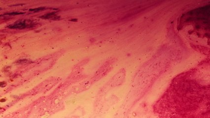 Fejká - Cortège (Fejká Rework) (Visualizer)