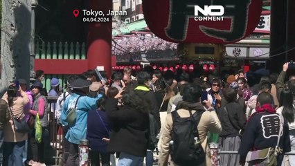 الربيع في اليابان.. موسم تفتح أزهار الكرز الساحرة