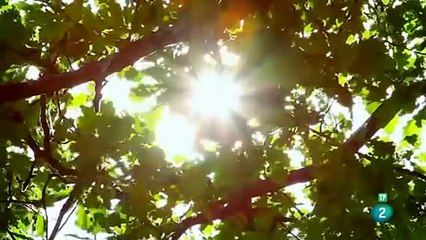 La vida secreta d los materialesDOCUMENTALES 2018 DOCUMENTALES NUEVOS