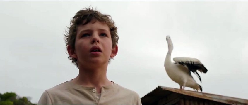 Storm Boy Bande-annonce (UK)