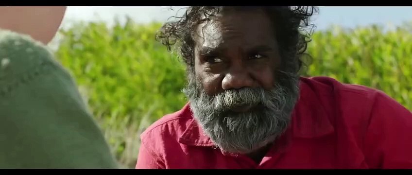 Storm Boy Bande-annonce (EN)